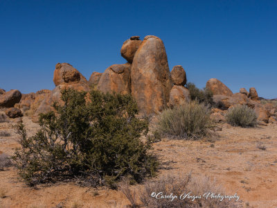 Nature's_Balancing_Act