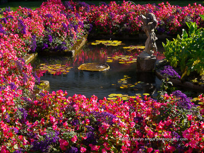 Butchart_Gardens-3.jpg