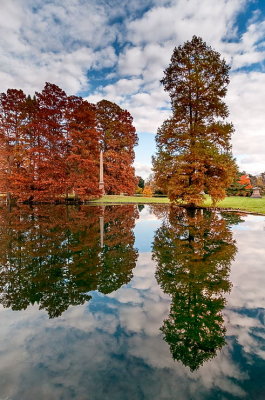 Fall Reflections
