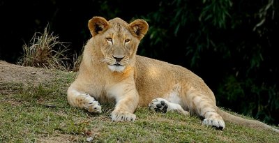Cincinnati Zoo