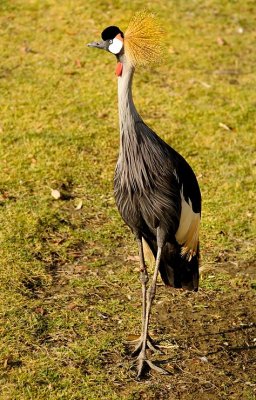 Cincinnati Zoo