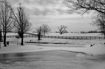 Kentucky Horse Farms