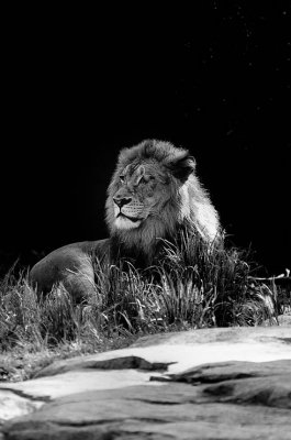 Cincinnati Zoo