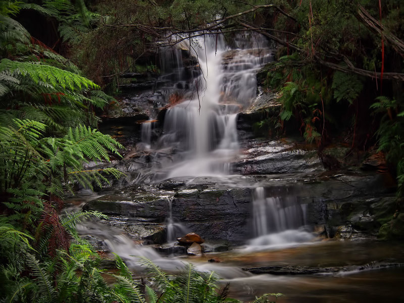 First Leura Cascade w.jpg
