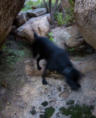 _DSC3164.jpg