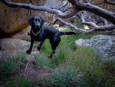 _DSC3048.jpg