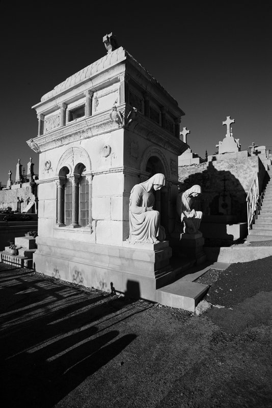YG6H3799_tonal BW web.jpg