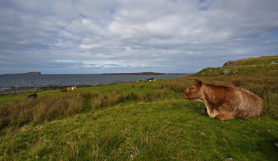 Isle of Skye20140920_0127.jpg