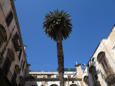 Palerme05_resize.JPG