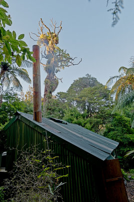 390E1515_6_7_8_9.jpg