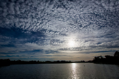 311A9611_2_3_4_5.jpg
