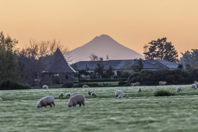 311A6312-HDR.jpg
