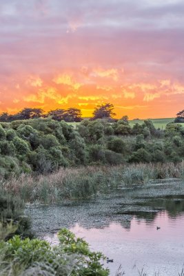311A6430-HDR.jpg