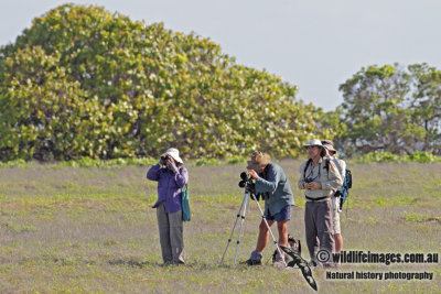 Birders at Ashmore 3023.jpg