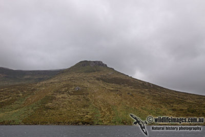 g9/73/838473/3/156339585.V45V1pr4.jpg