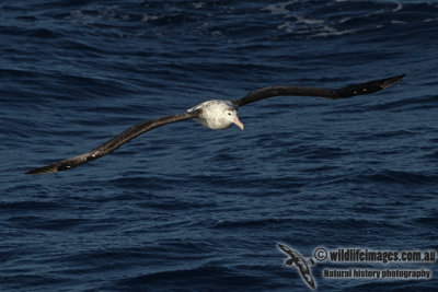 g9/73/838473/3/156341567.atDh88jS.jpg