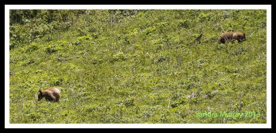 DSC_6788.jpg