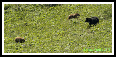 DSC_6829.jpg