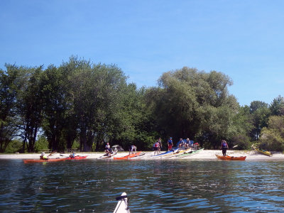 DSCN1617.jpg
