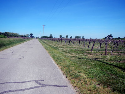 DSCN1629.jpg
