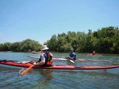 DSCN1648.jpg