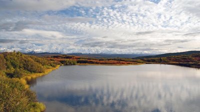 Reflection Pond