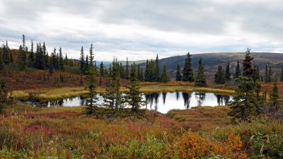 View from Camp Denali