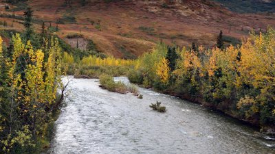 Moose Creek #2