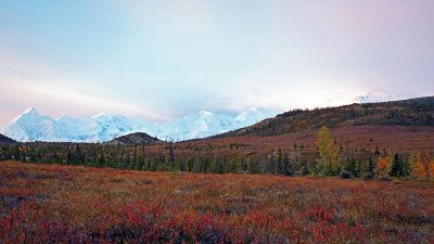 Sunrise on the Alaska Range
