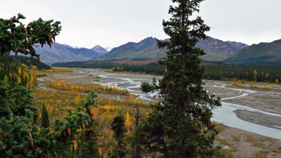 Teklanika River