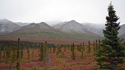 g9/73/927573/3/160383629.xSrqz4XP.jpg