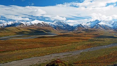 Denali National Park