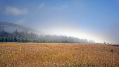 Eerie Fog