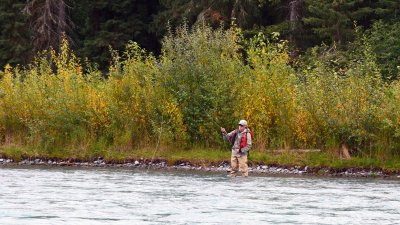 Fly Fishing for Salmon on the Kenai River