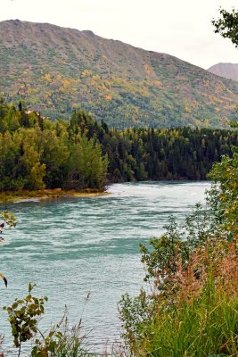 Kenai River Scene #2