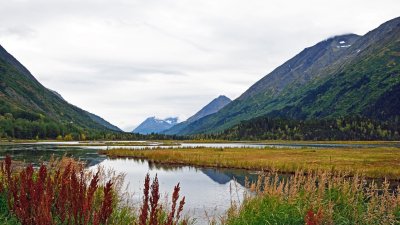 Tern Lake #2