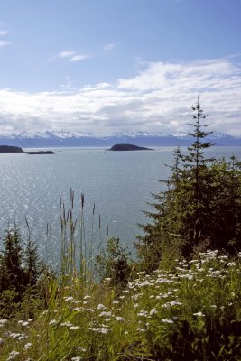 Lynn Canal View #3