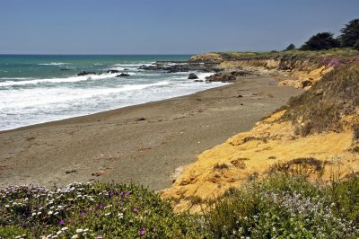 Moonstone Beach