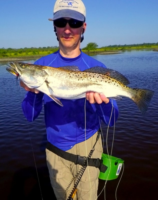 6 lb. Spotted Sea Trout