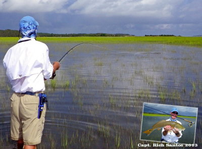 1st grass Redfish hook up!