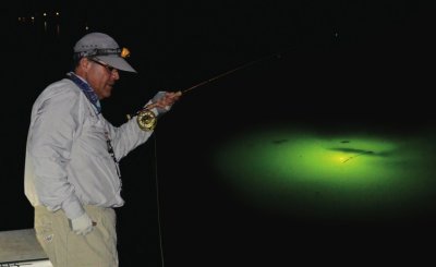 Dock light Fly Fishing for Trout
