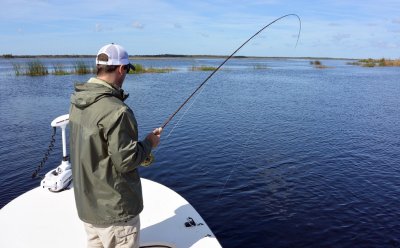 St. Johns River Fly Fishing for American Shad
