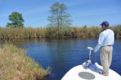 Fly Fiishing for Shad on the upper St. Johns River