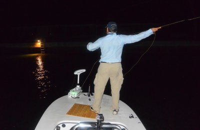 Summertime dock light fly fishing
