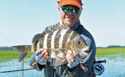 Rich's 5 lb. Sheepshead