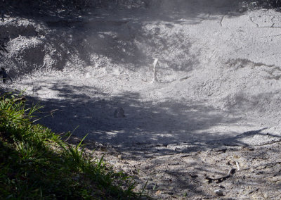 Boiling mud3.jpg
