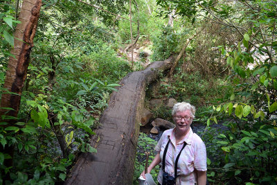 Narrow bridge.jpg