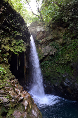 Oropendola waterfall.jpg