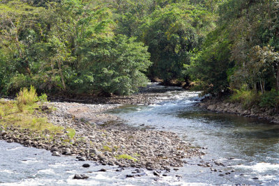Sarapiqui River.jpg
