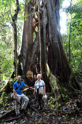 Costa Rica and Panama November 2014